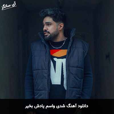دانلود آهنگ شدی واسم یادش بخیر