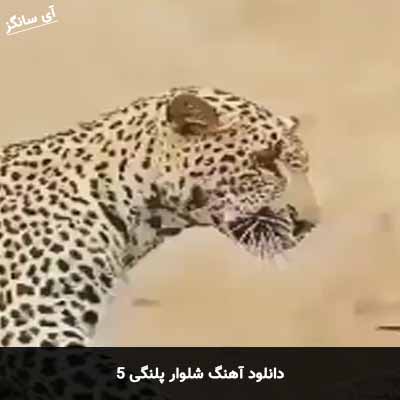 دانلود آهنگ شلوار پلنگی 5