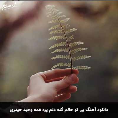 دانلود آهنگ بی تو حالم گنه دلم پره غمه وحید حیدری