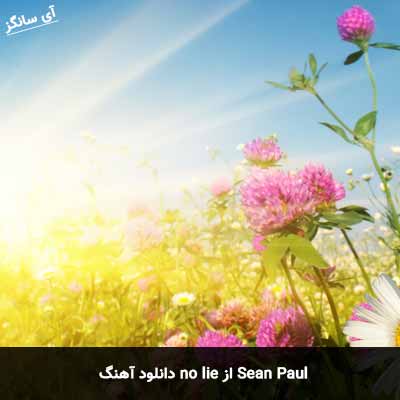 دانلود آهنگ no lie از Sean Paul