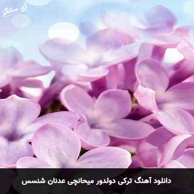 دانلود آهنگ ترکی دولدور میحانچی عدنان شنسس