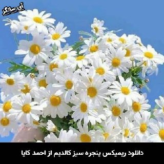 دانلود ریمیکس پنجره سیز کالدیم احمد کایا