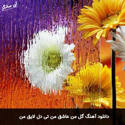 دانلود آهنگ گل من عاشق من تی دل لایق من