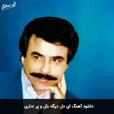 دانلود آهنگ ای دل دیگه بال و پر نداری