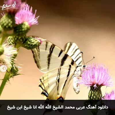 دانلود آهنگ عربی محمد الشيخ الله الله انا شیخ ابن شیخ