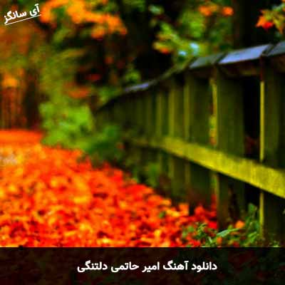 دانلود آهنگ امیر حاتمی دلتنگی