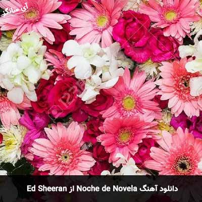 دانلود آهنگ Noche de Novela از Ed Sheeran