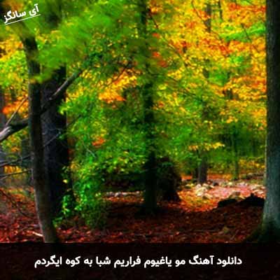دانلود آهنگ مو یاغیم فراریم شبا به کوه ایگردم