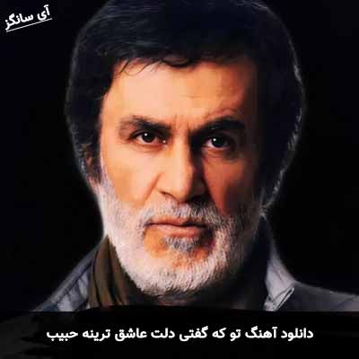 دانلود آهنگ تو که گفتی دلت عاشق ترینه حبیب