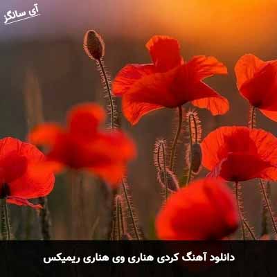 دانلود آهنگ کردی هناری وی هناری ریمیکس