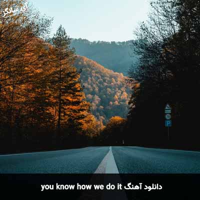 دانلود آهنگ you know how we do it