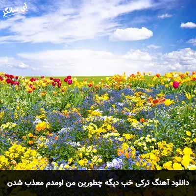 دانلود آهنگ ترکی خب دیگه چطورین من اومدم معذب شدن