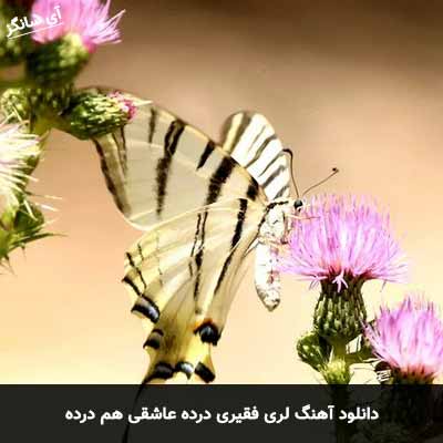 دانلود آهنگ لری فقیری درده عاشقی هم درده