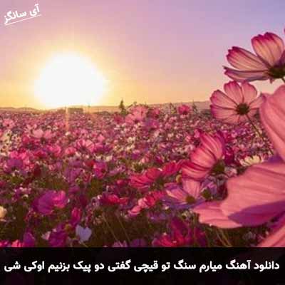 دانلود آهنگ میارم سنگ تو قیچی گفتی دو پیک بزنیم اوکی شی