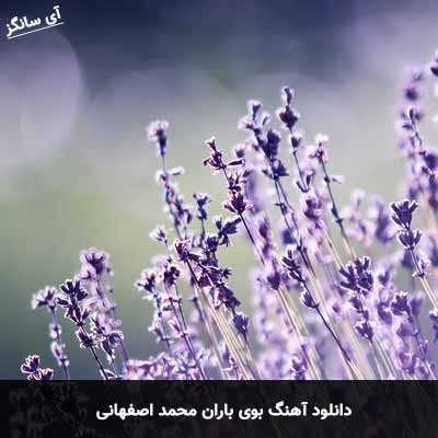 دانلود آهنگ بوی باران محمد اصفهانی