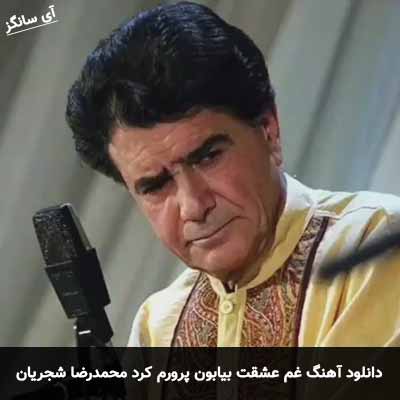 دانلود آهنگ غم عشقت بیابون پرورم کرد محمدرضا شجریان