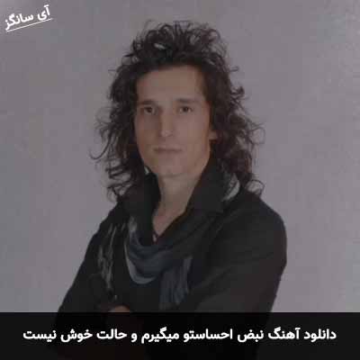 دانلود آهنگ نبض احساستو میگیرم و حالت خوش نیست