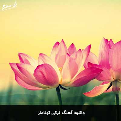 دانلود آهنگ ترکی توتاماز