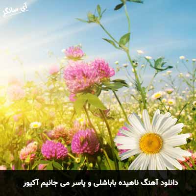 دانلود آهنگ Nahide Babashli به نام Canim Aciyor