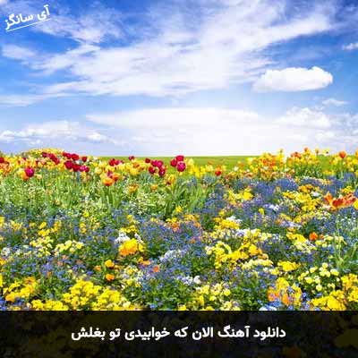 دانلود آهنگ الان که خوابیدی تو بغلش