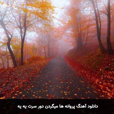 دانلود آهنگ پروانه ها میگردن دور سرت یه یه