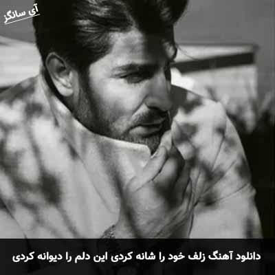 دانلود آهنگ زلف خود را شانه کردی این دلم را دیوانه کردی