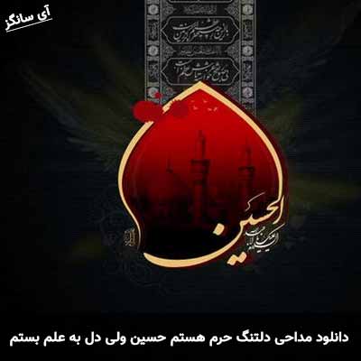 دانلود مداحی دلتنگ حرم هستم حسین ولی دل به علم بستم حسین