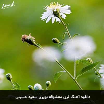 دانلود آهنگ لری معشوقه بویری سعید حسینی