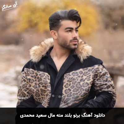 دانلود آهنگ برنو بلند منه مال سعید محمدی