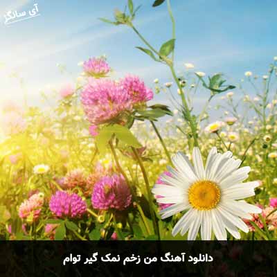 دانلود آهنگ من زخم نمک گیر توام