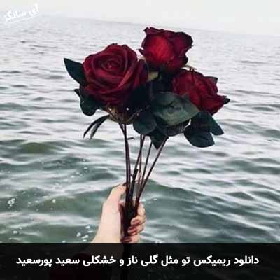 دانلود ریمیکس تو مثل گلی ناز و خشکلی سعید پورسعید