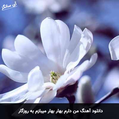 دانلود آهنگ من دارم بهار بهار میبازم به روزگار