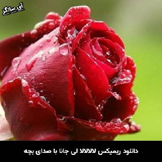 دانلود ریمیکس لالالالا لی جانا صدای بچه