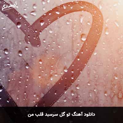 دانلود آهنگ تو گل سرسبد قلب من