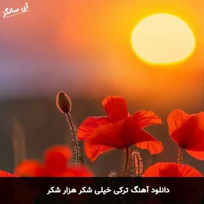 دانلود آهنگ ترکی خیلی شکر هزار شکر