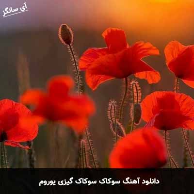 دانلود آهنگ سوکاک سوکاک گیزی یوروم