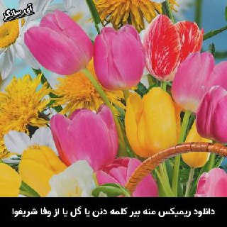 دانلود ریمیکس منه بیر کلمه دنن یا گل یا گلمه دنن وفا شریفوا