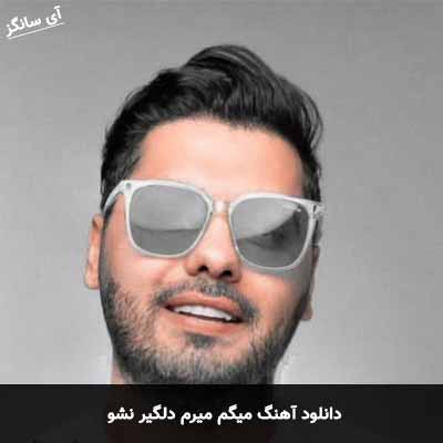 دانلود آهنگ میگم میرم دلگیر نشو