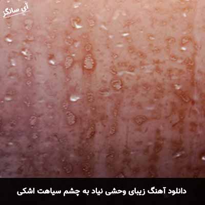 دانلود آهنگ زیبای وحشی نیاد به چشم سیاهت اشکی