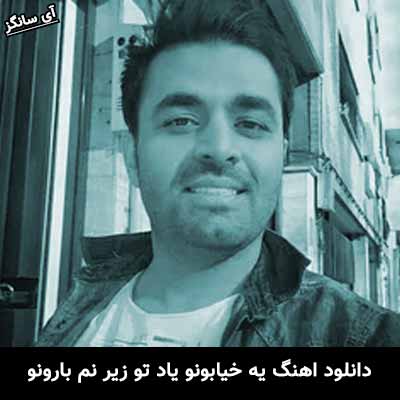 دانلود آهنگ یه خیابونو یاد تو زیر نم بارونو میثم ابراهیمی