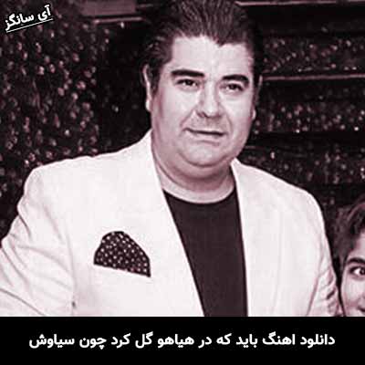 دانلود آهنگ باید که در هیاهو گل کرد چون سیاوش سالار عقیلی