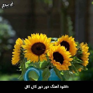دانلود آهنگ دور دور کال کالا
