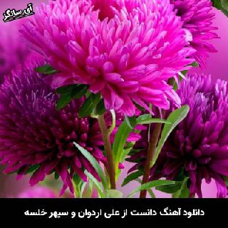 دانلود آهنگ دانست علی اردوان و سپهر خلسه