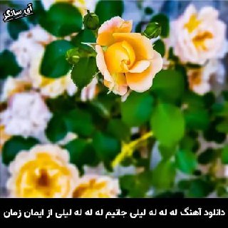 دانلود آهنگ له له له لیلی جانیم له له له لیلی ایمان زمان