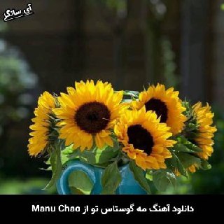 دانلود آهنگ مه گوستاس تو Manu Chao