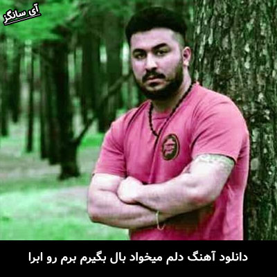 دانلود آهنگ دلم میخواد بال بگیرم برم رو ابرا رضا کرمی تارا