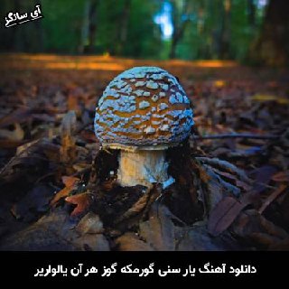 دانلود آهنگ یار سنی گورمکه گوز هر آن یالواریر