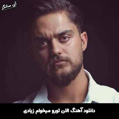 دانلود آهنگ الان تورو‌ میخوام زیادی