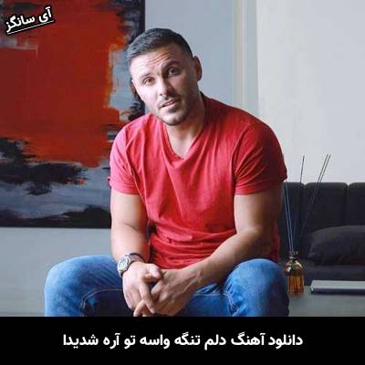 دانلود آهنگ دلم تنگه واسه تو آره شدیدا
