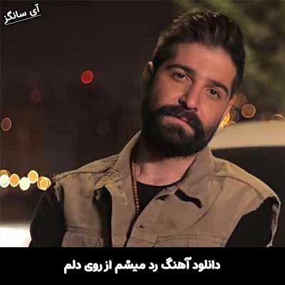 دانلود آهنگ رد میشم از روی دلم
